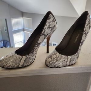 B Makowsky Snake Skin Women Heels Size 8/ Brand- Great Condition